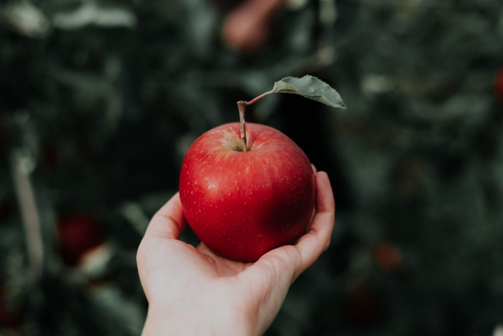 Manzana