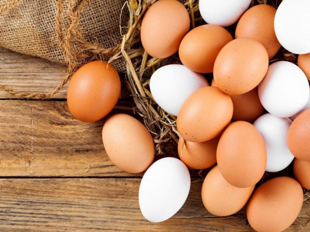 Qué le pasa a tu cuerpo si comes huevos todos los días