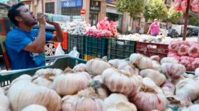 El Ajo: Un Antiinflamatorio Con Mucho Poder