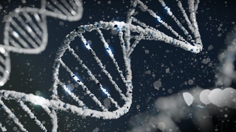 Los investigadores generan la primera secuencia completa y sin huecos de un genoma humano