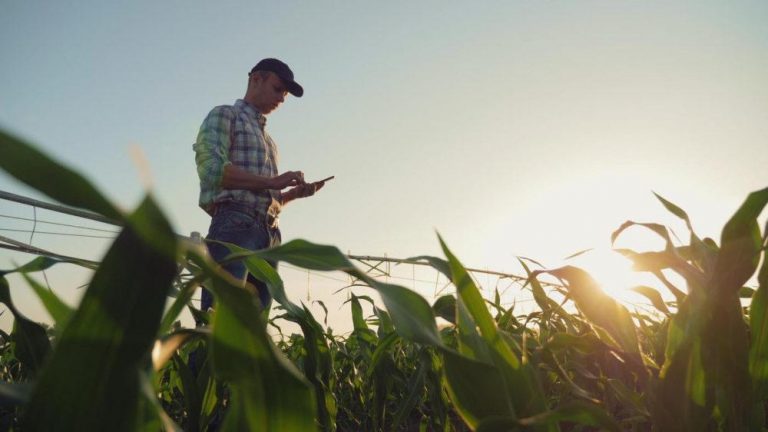 Santander se prepara para ofrecer préstamos garantizados con criptoactivos agrícolas