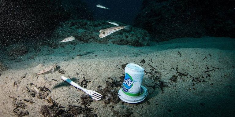 Un estudio asocia la presencia de plásticos en el mar con la introducción de especies invasoras