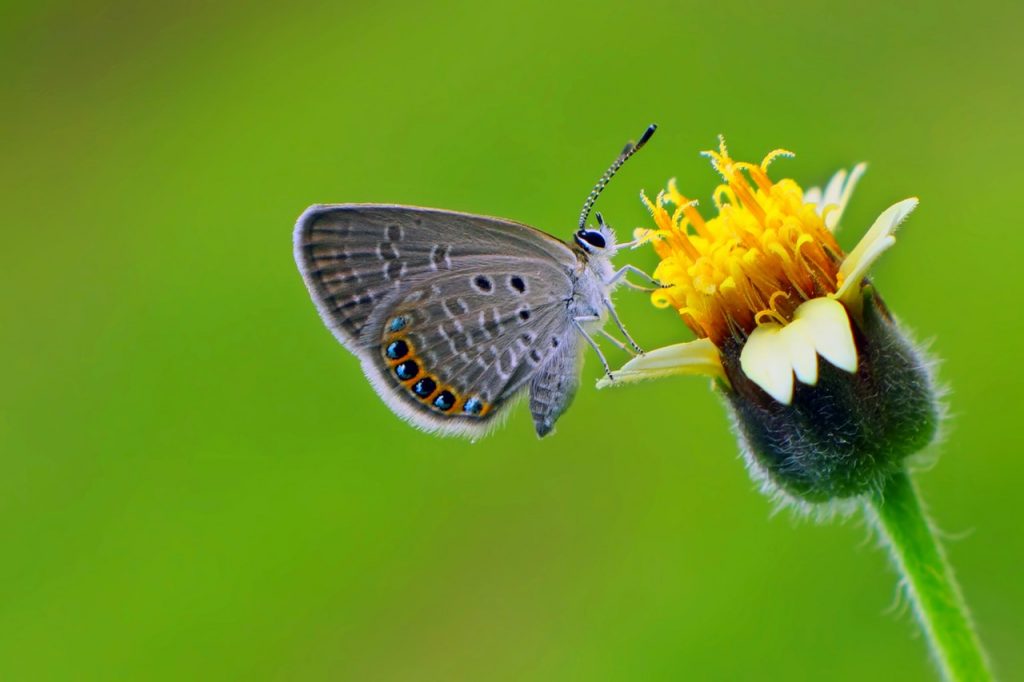 Alergia O Catarro: Pasos Sencillos Para Diferenciar Sus Síntomas