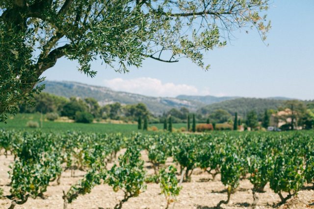 Dos bodegas de España entre las 10 mejores del mundo