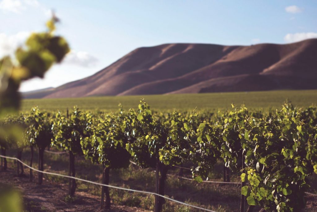 Dos Bodegas De España Entre Las 10 Mejores Del Mundo