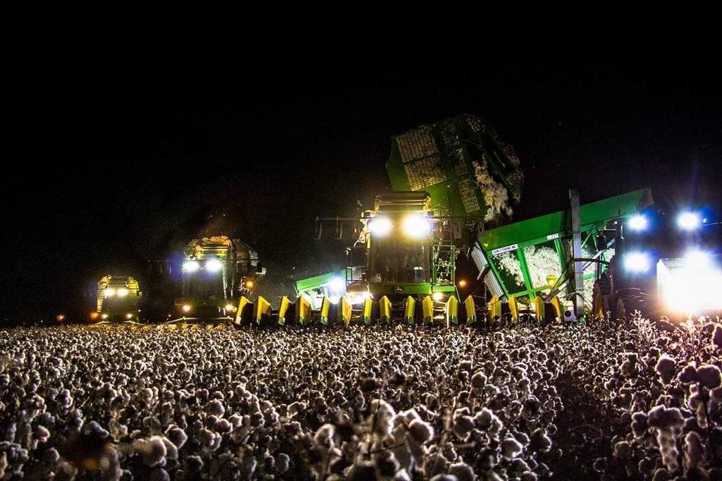 Cuidado Con Lo Que Ves: Los Efectos Ópticos Más Impresionantes