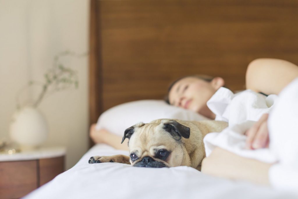 El Motivo Por El Que Debes Dormir Antes De Las 12 De La Noche
