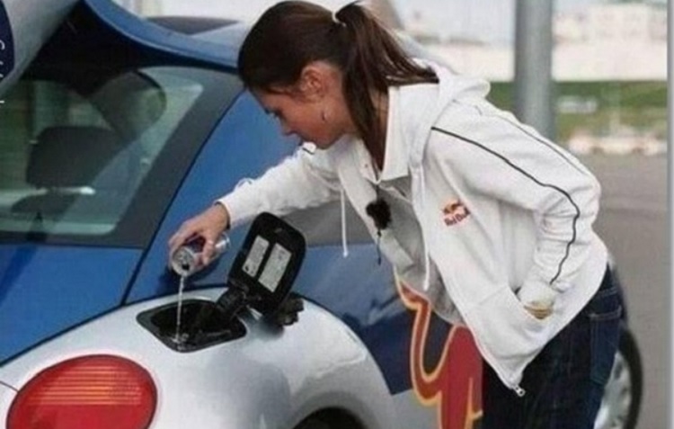 Fotos Que Demuestran Que La Idiotez Humana No Tiene Límite Alguno
