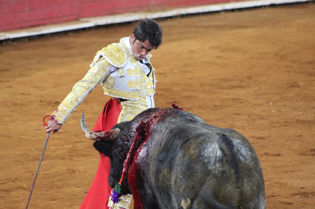 Esto Es Lo Que Los Fans De Ayuso No Perdonan A Jorge Javier Vázquez