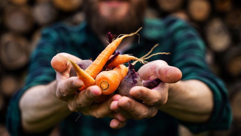 Nattive lanza Nattive Kids, un servicio de comida saludable para niños