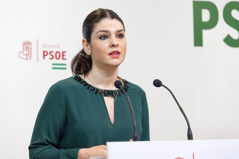 El PSOE alerta que Andalucía será «la única comunidad con libros de texto sin adaptar a la ley»