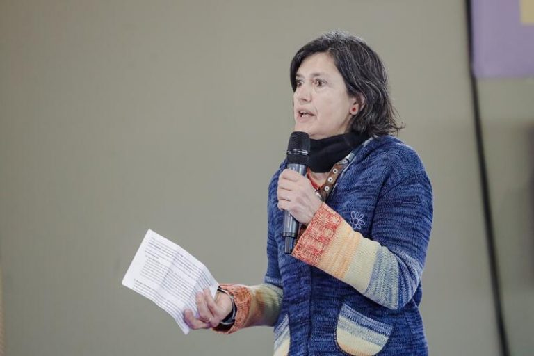 Alianza Verde elige a Carmen Molina como candidata para el «frente» de Unidas Podemos y Más País