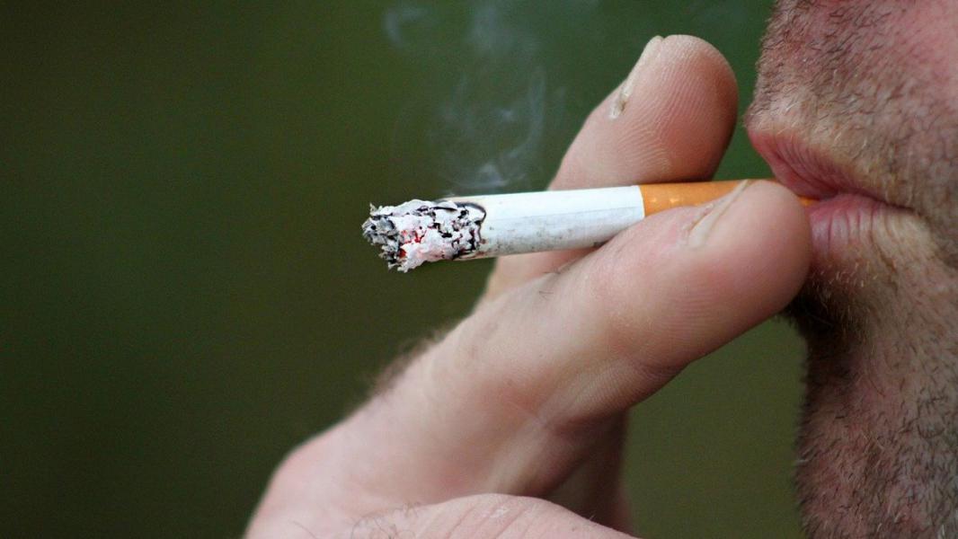 Fumar: reduce la materia cerebral