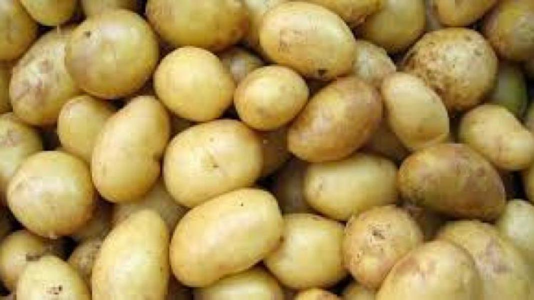 La mejor patata para freír