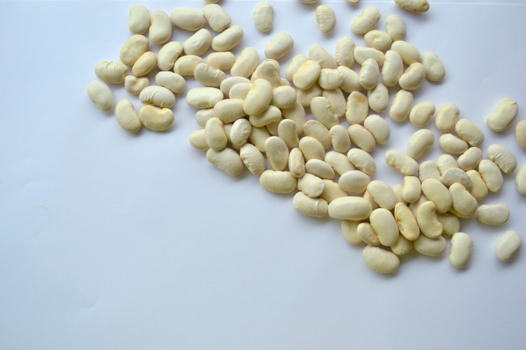 Garbanzos, alubias y microbioma: el trío inesperado