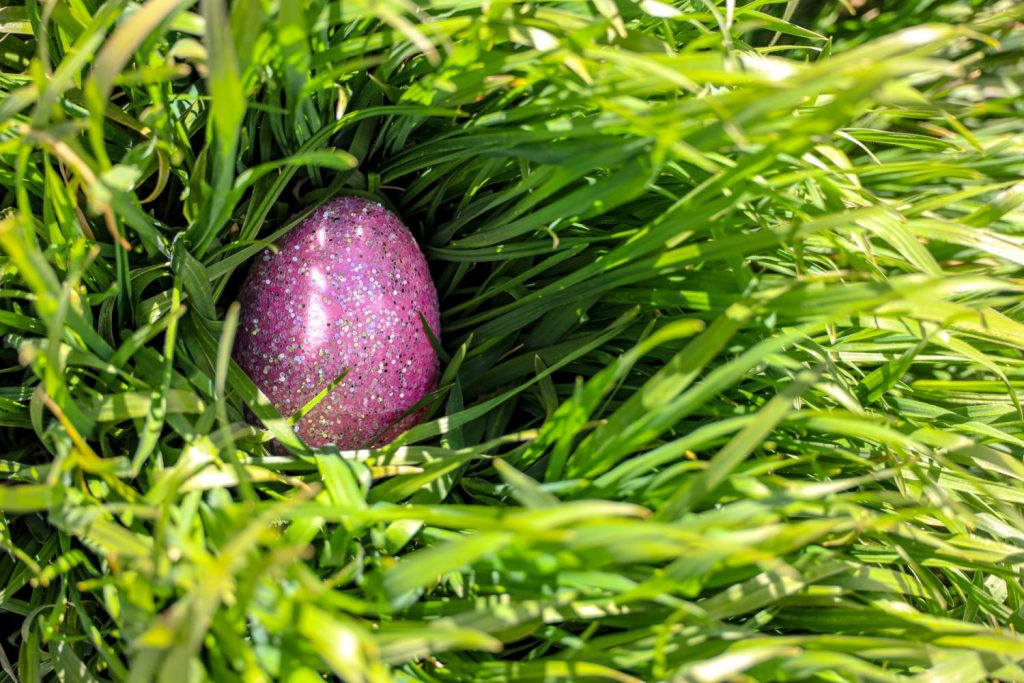 Pascua