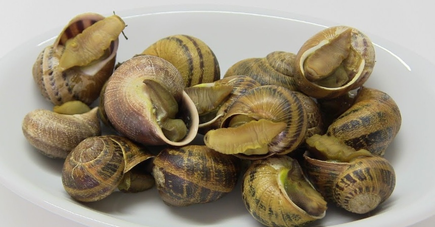 Caracoles a la madrileña: el plato que casi nadie hace y que sale divino