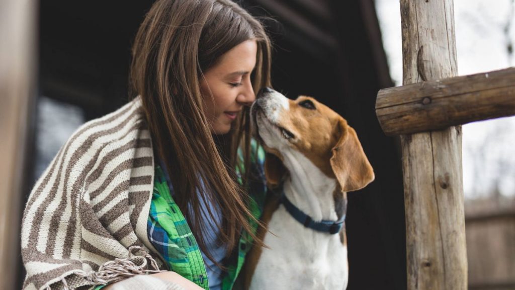 Lo Que En Verdad Le Gusta A Los Perros Es Tu Olor Corporal