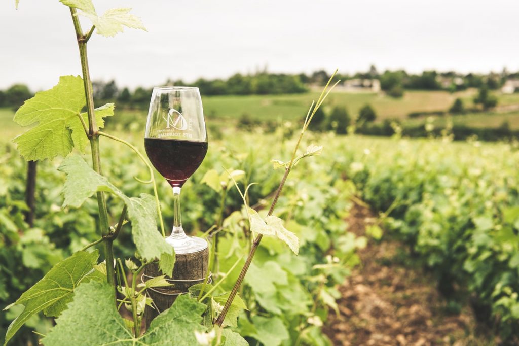 Enfermedades Que Podrías Evitar Con El Alcohol