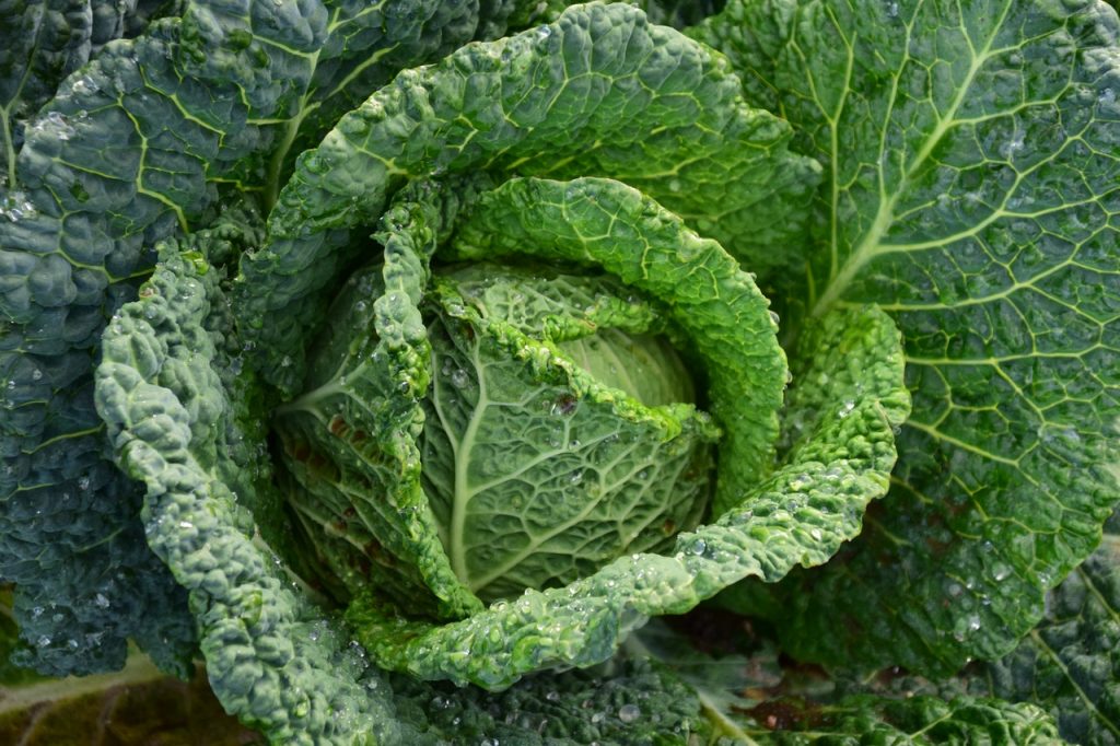 Dieta De La Sopa: El Milagro Para Adelgazar Muchos Kilos Antes De Verano