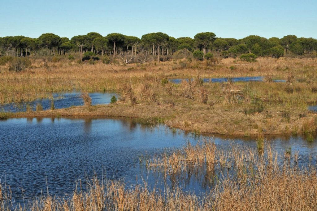 Albaicín, Un Lugar Soñado En Andalucía