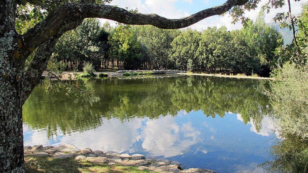 La piscina más grande de toda España