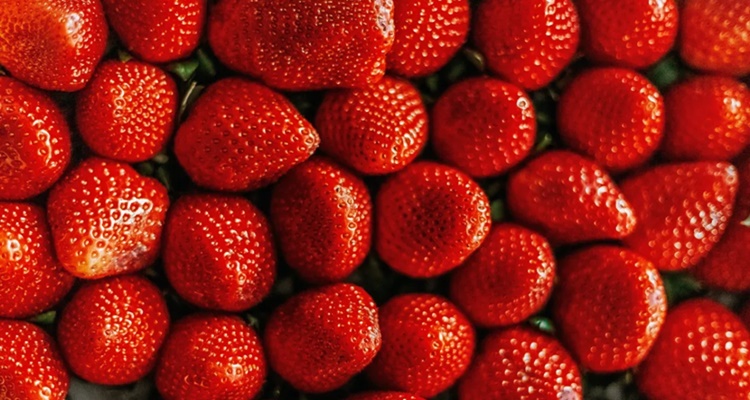 Fresas Alzheimer Fisetina