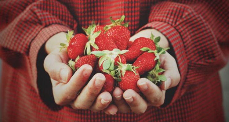 Fresas Enfermedades Neurodegenerativas Alzheimer
