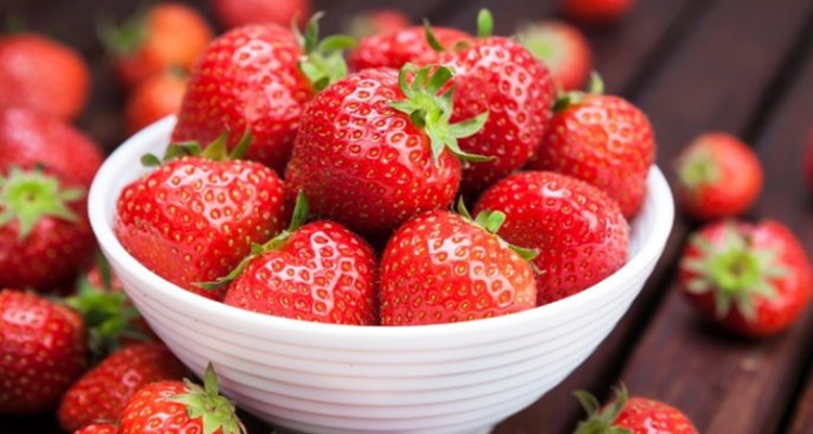 Fresas Romina