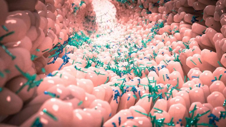 Dr. Fernando Ruger Viarengo, uno de los grandes referentes en nutrigenética y microbiota en España