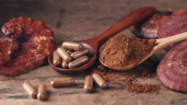 El hongo Reishi, un aliado alternativo para mejorar la salud y el bienestar