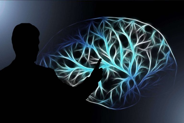 Mind Galaxy, la nueva plataforma de cursos sobre la mente