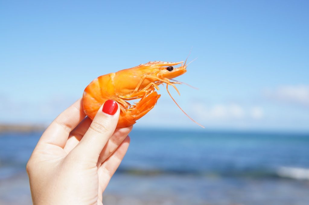 Cómo Debes Cocer Los Langostinos Congelados
