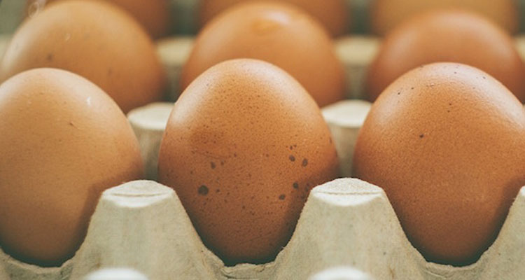 Las Realidades De La Comida Basura Que Te Harán Dudar De Volver A Comprar