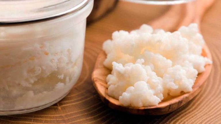 Beber leche de kéfir es bueno, ¿mito o realidad?