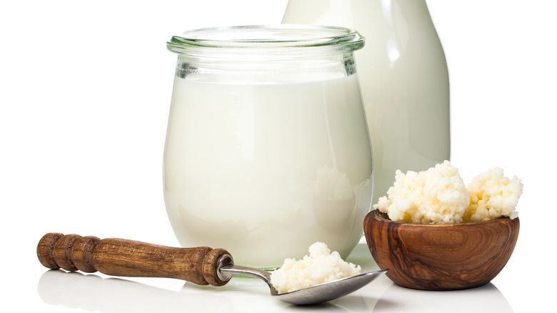 ¿Dónde Se Compra La Leche De Kéfir?