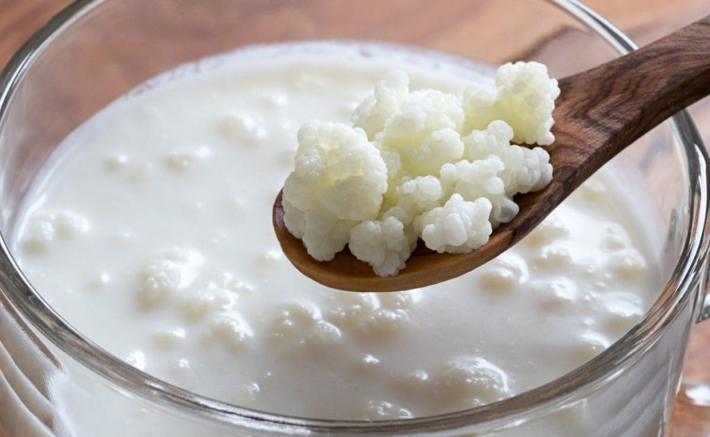 ¿Dónde Surgió La Leche De Kéfir?