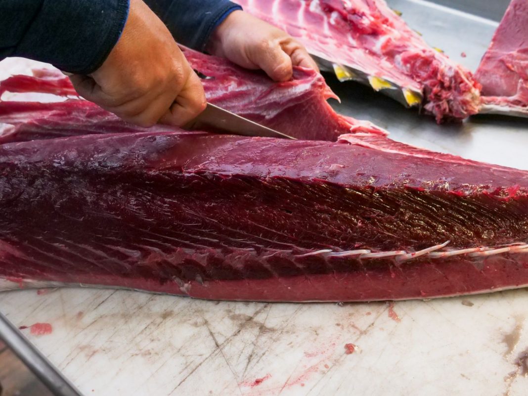 Bonito encebollado la receta clásica que casi nadie rechaza