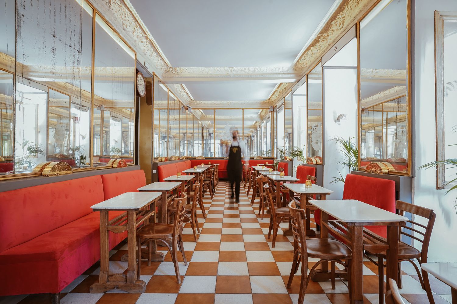 El Histórico Café Barbieri De Madrid Reabre Sus Puertas Cuando Se Cumplen 120 Años De Su Inauguración 2 Madrid