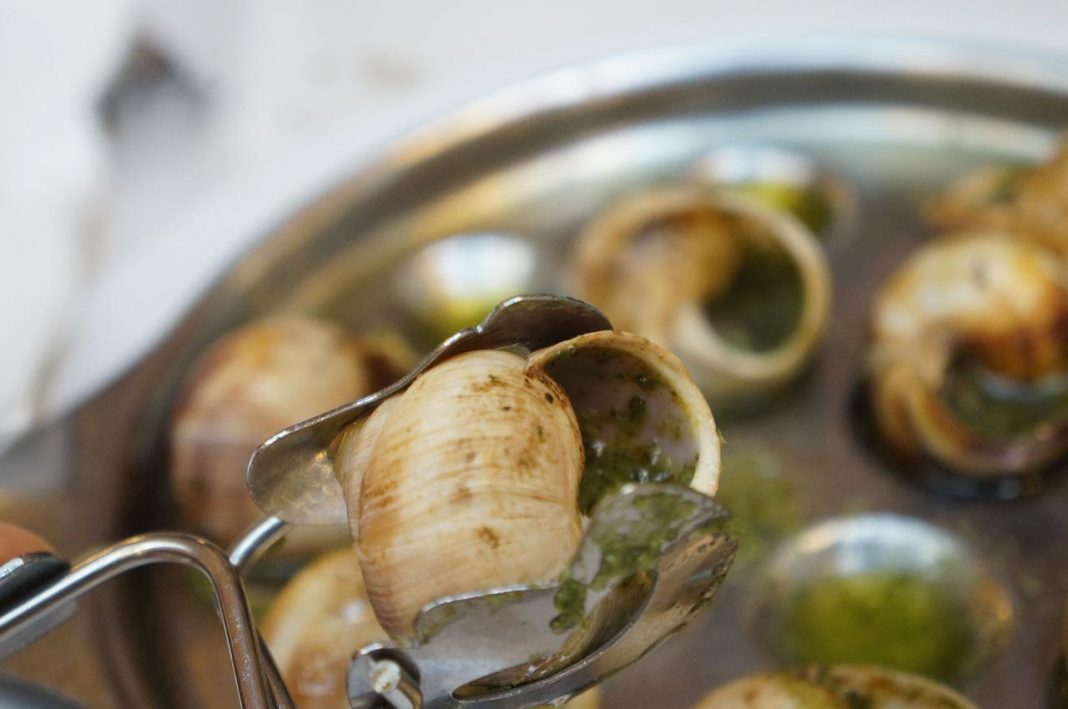 Caracoles en salsa este es el tiempo que debes tenerlos para que salgan exquisitos