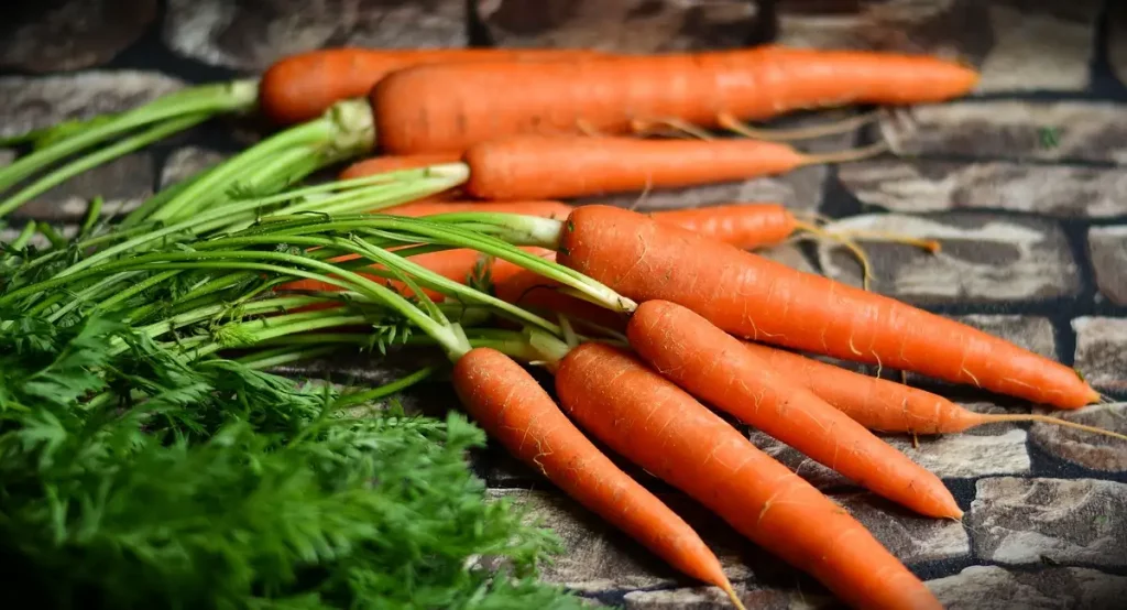 Zanahorias