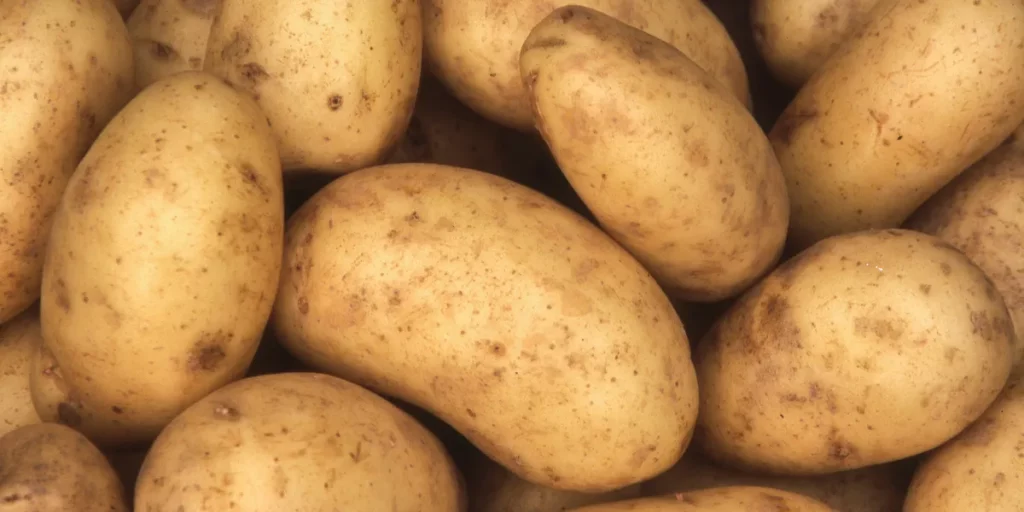 Papas