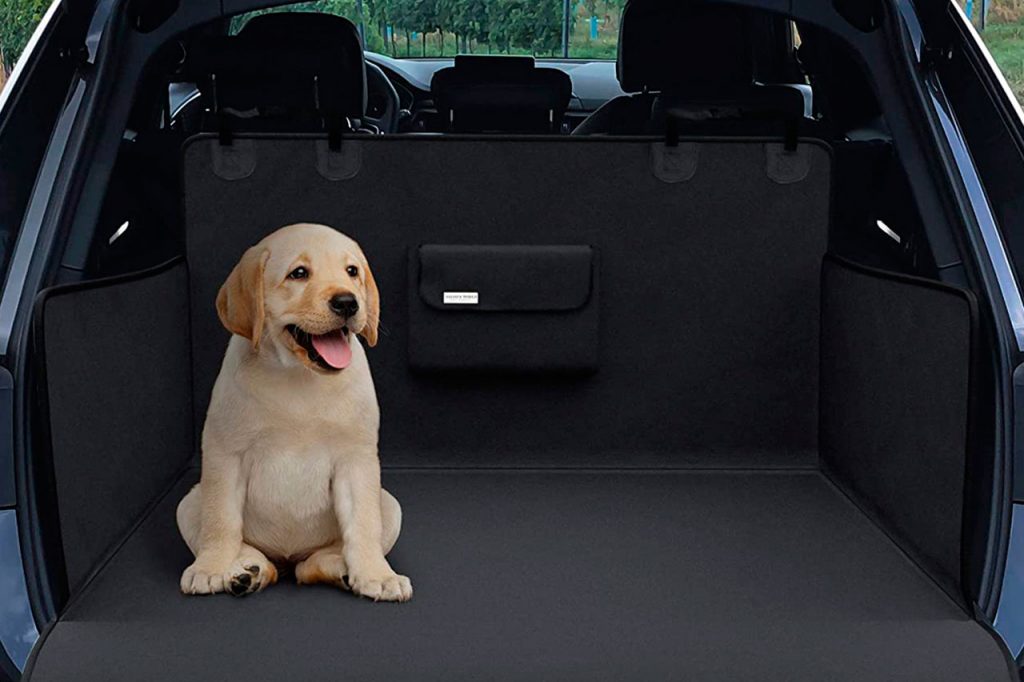 ¿Cuál Es La Mejor Manera De Llevar A Una Mascota En El Interior De Un Coche?