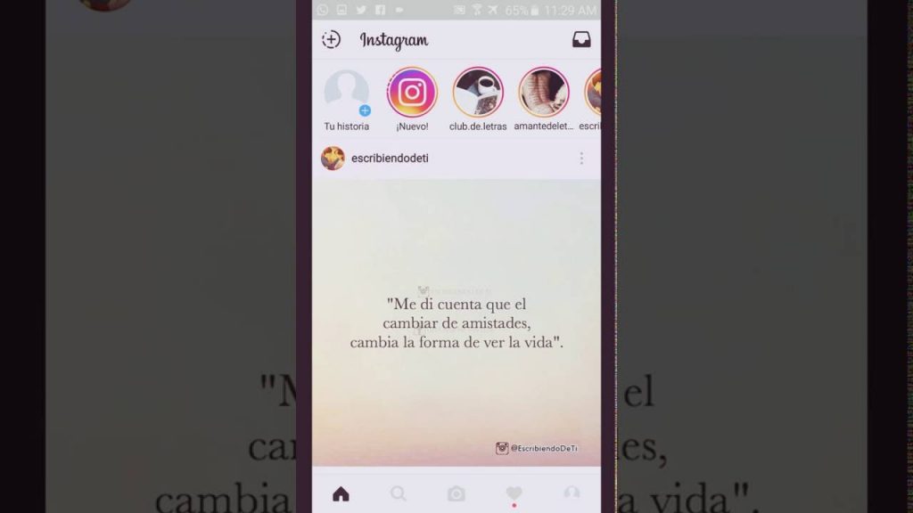 Cuentas Nuevas