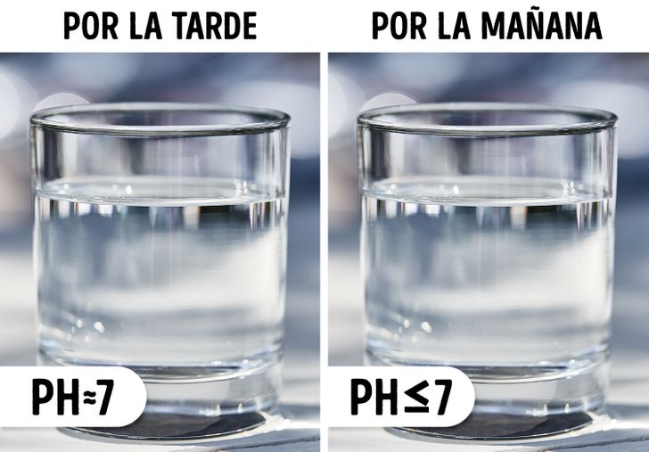 El Agua Cambia De Sabor