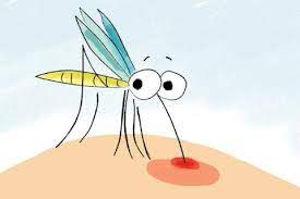 Este es el motivo por el que te pican los mosquitos