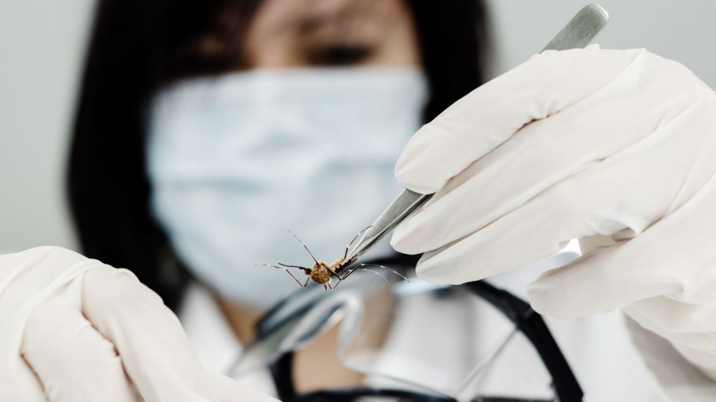 ¿Existen Otros Motivos Por Los Que Piquen Los Mosquitos?