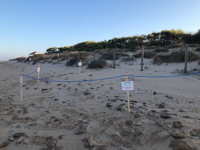Adiós A Las Despedidas De Solteros: Las Ciudades Que Las Han Prohibido