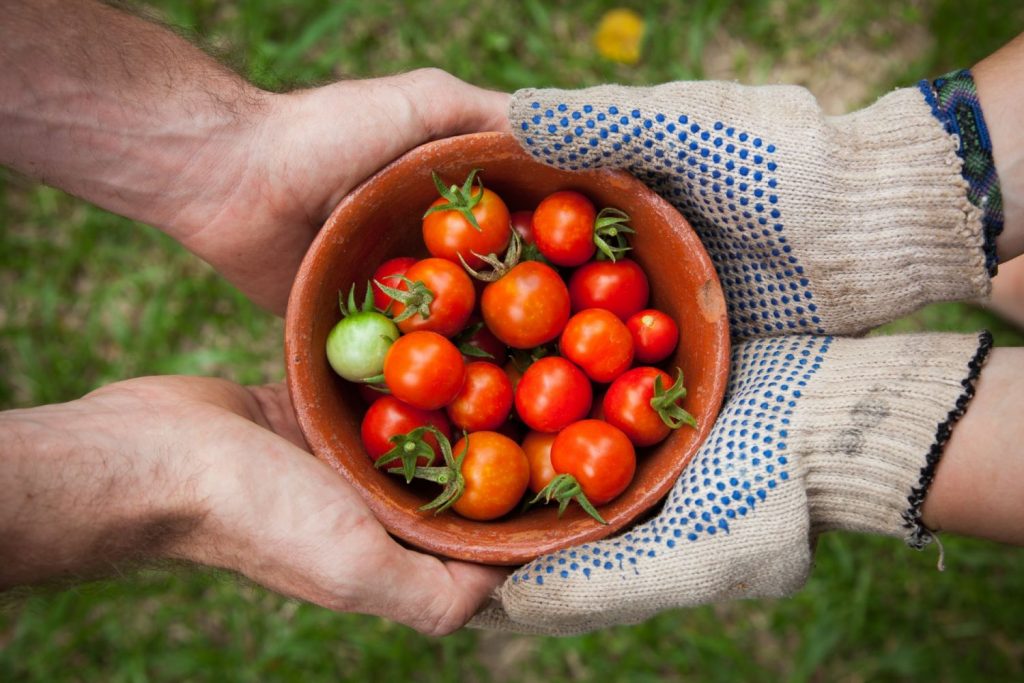 Gazpacho Cómo Se Hace El Plato Más Refrescante Contra La Ola De Calor