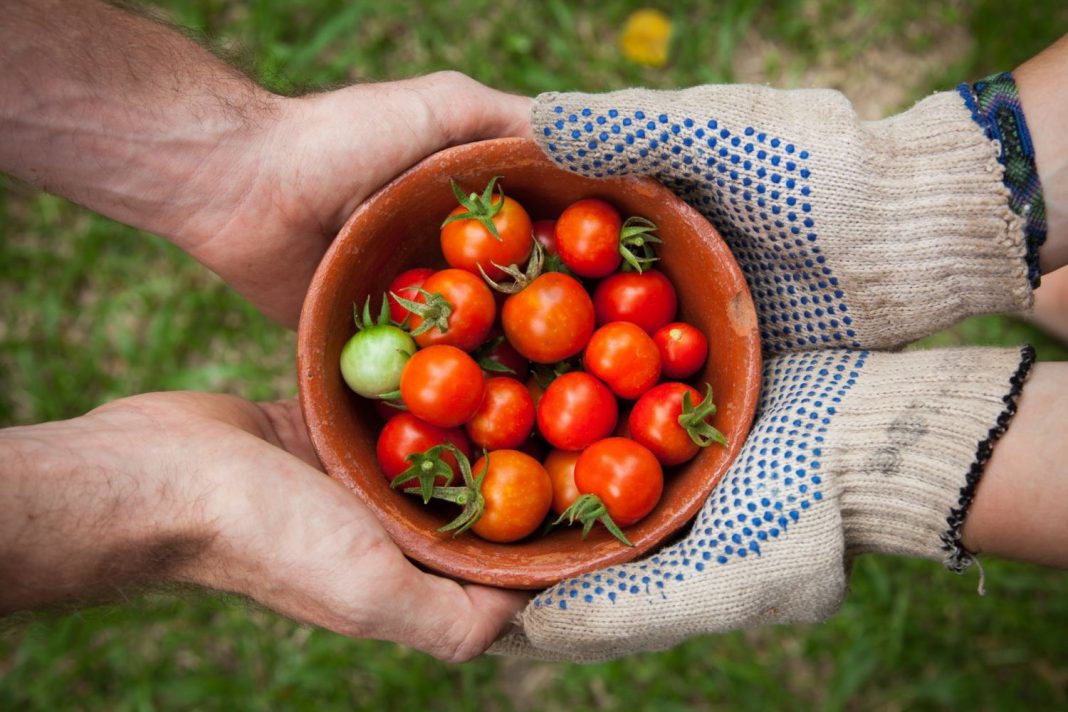 Gazpacho cómo se hace el plato más refrescante contra la ola de calor